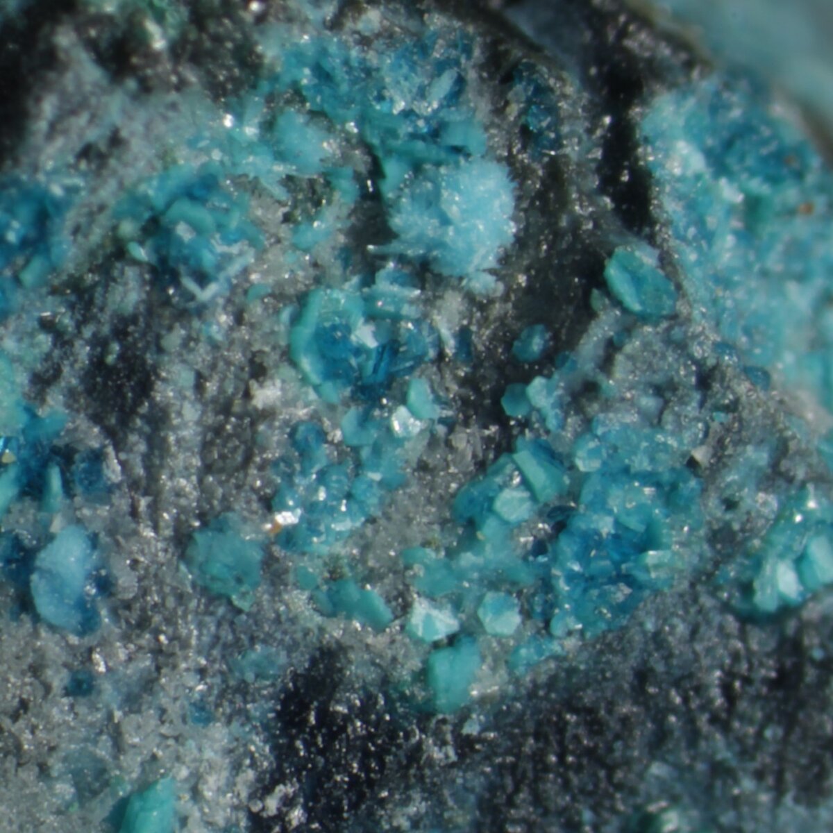 Зеленовато-голубой познякит (выделения минерала до 0,5 мм) в ассоциации с небесно-голубым серпиеритом, зелёным малахитом и синим линаритом. На месторождении минерал наблюдается в голубом и зеленовато-голубом цветах. Морфология кристаллов пластинчатая.