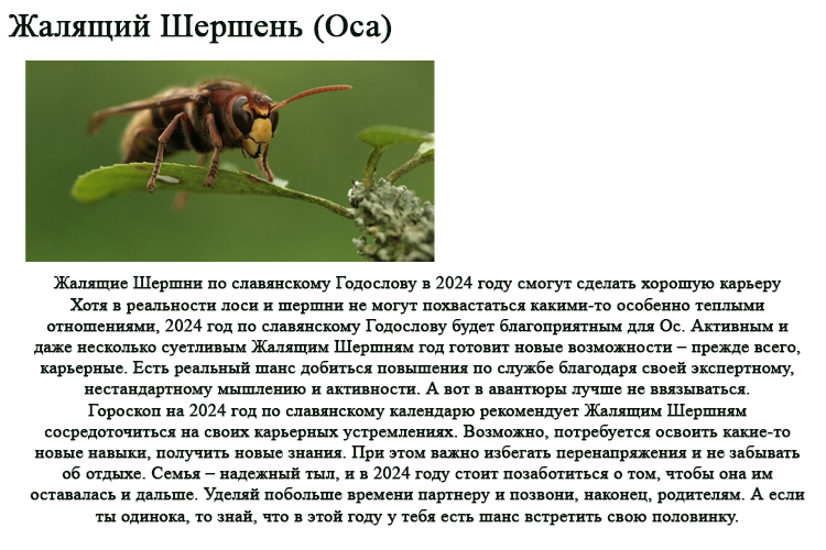 Год шершня по славянскому календарю 2025
