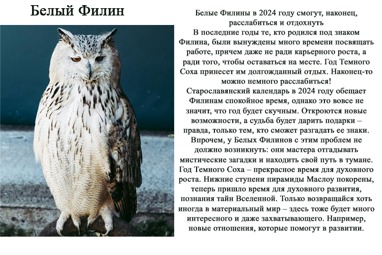 Помимо традиционных восточного и зодиакального гороскопов, есть и более оригинальные основанные на календарях разных народностей и стран.-11