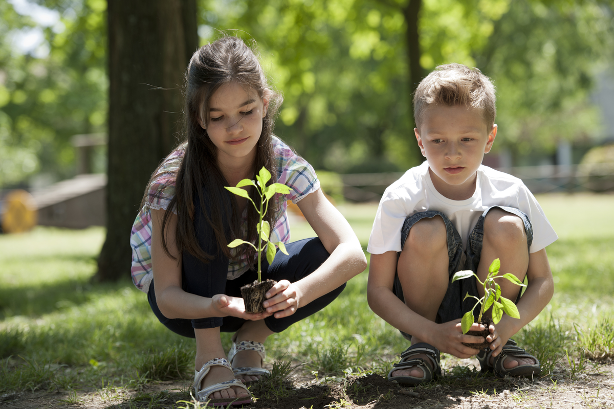 Дети и природа. Детям об экологии. Любовь к природе. Хорошее отношение к природе. Личность заботиться