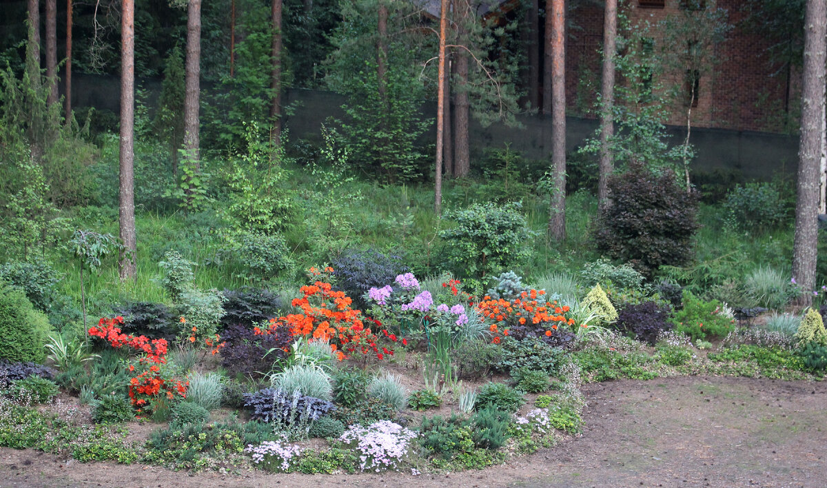 Вид из окна 2 этажа в период цветения рододендронов (июнь)