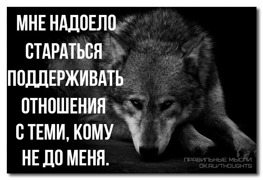 Правду бояться. Цитаты о ненужности человека. Цитаты о человеке который надоел. Статус надоело. Задолбали афоризмы.