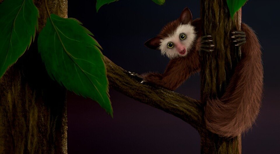   Kristen Tietjen / University of Kansas