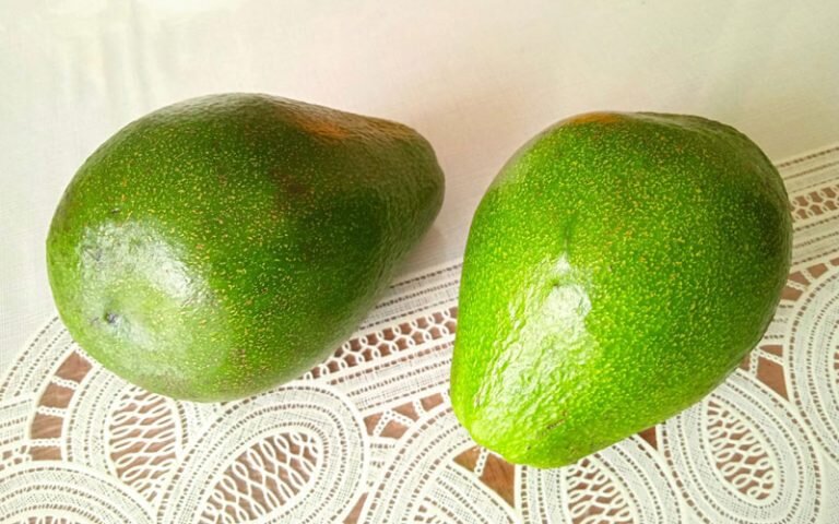 Как выглядит 100 грамм авокадо Avocado Oils Изображения премиум-класса: просматривайте стоковые фотографии, век