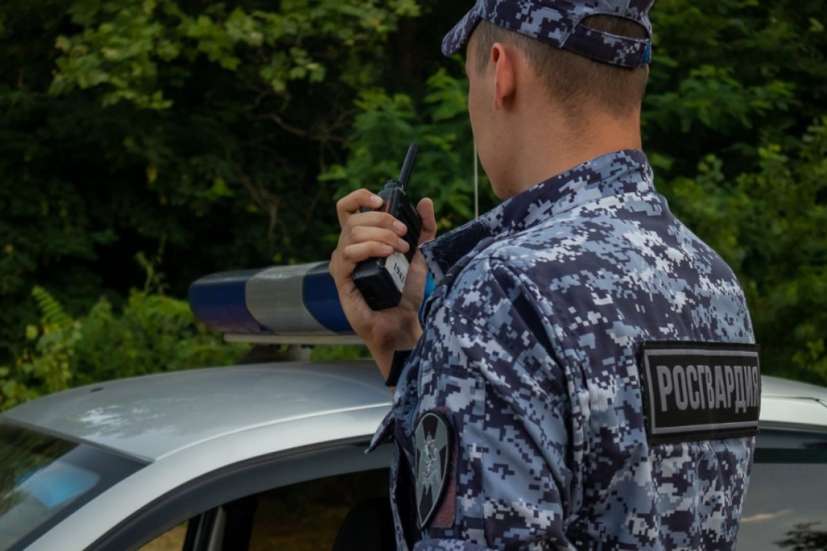    В Сочи задержали обнаженного постояльца, повредившего имущество отеля