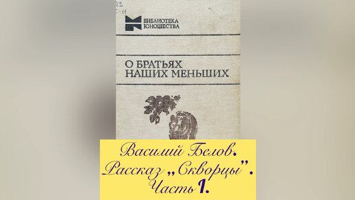 Рассказ «Скворцы». Часть 1. Василий Белов.