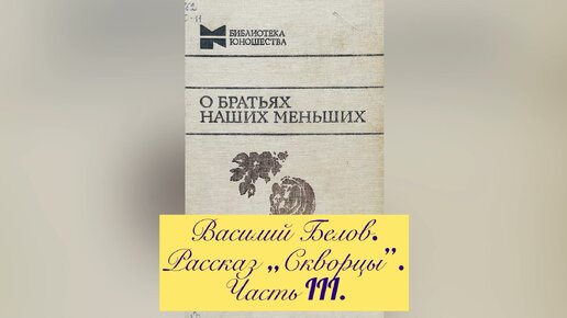 Рассказ «Скворцы». Часть 3. Василий Белов.