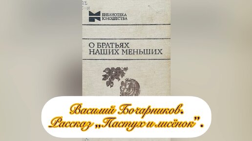 Рассказ «Пастух и лисёнок». Василий Бочарников.