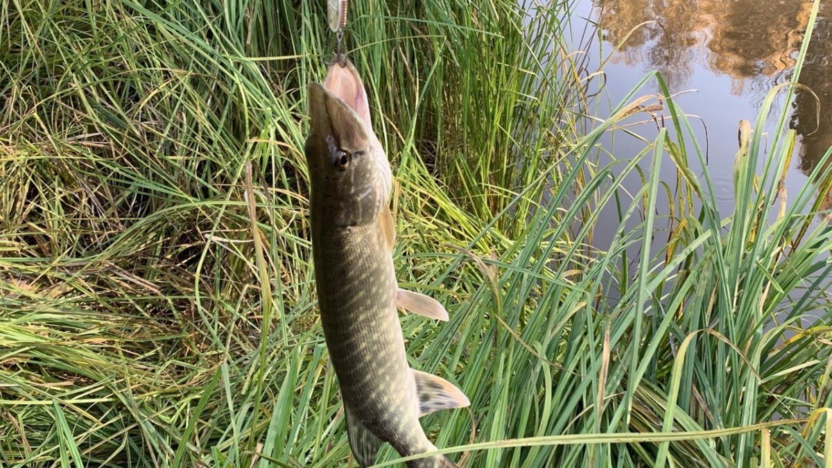 Информационный центр правительства Тюменской области📷
