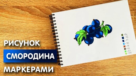 Как нарисовать смородину карандашом и скетч маркерами | Рисунок для детей, поэтапно и легко