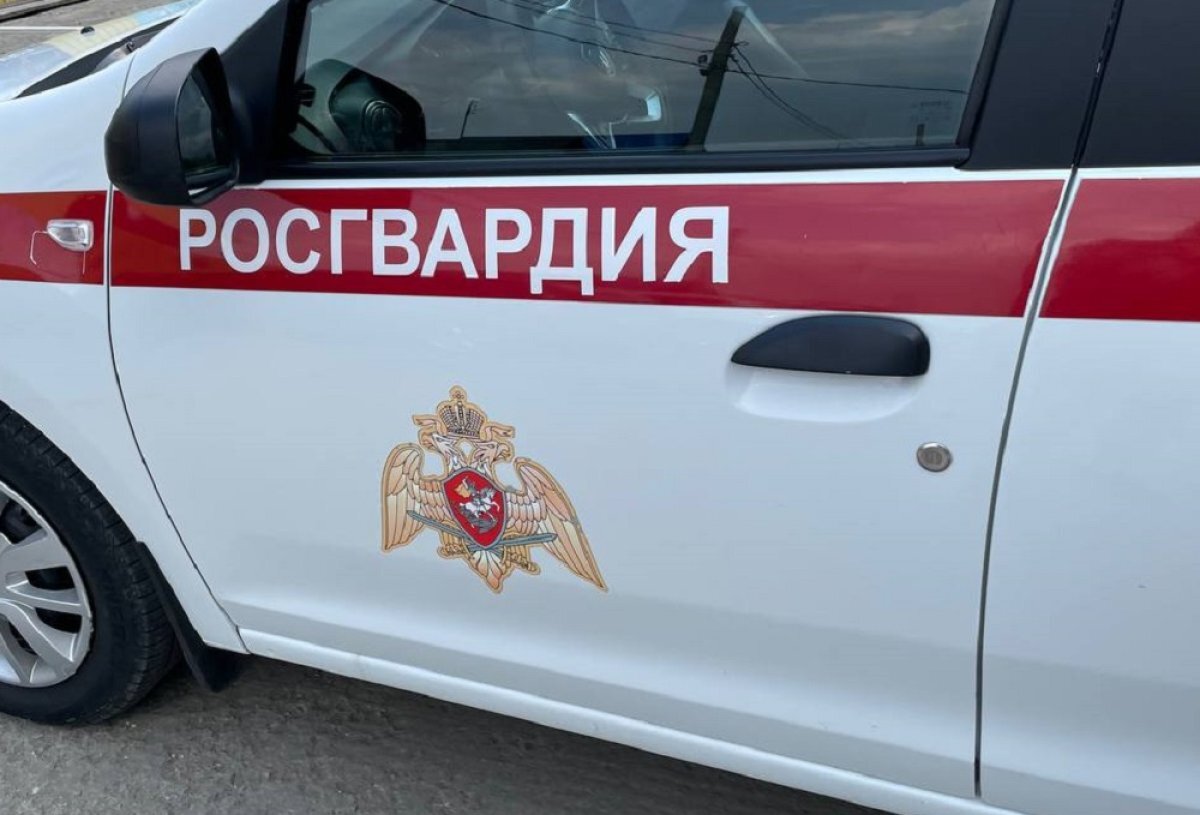    Росгвардейцы задержали челябинца, требовавшего увольнения с пистолетом