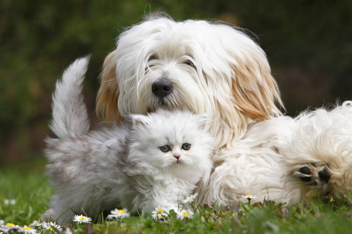 Фото: Global Look Press/H. Schmidt-Roeger/blickwinkel