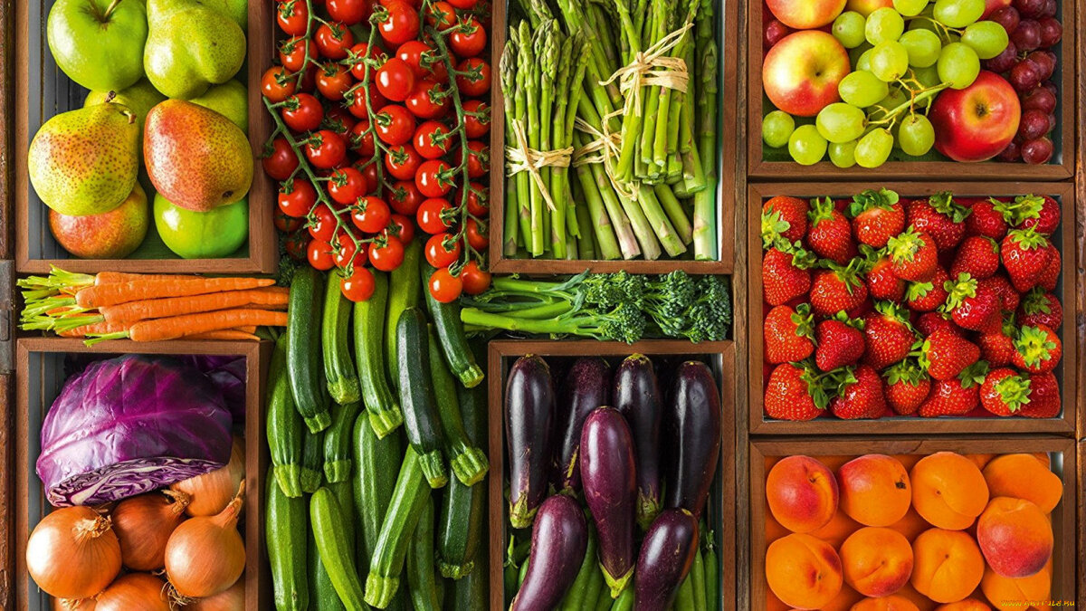  Фото из интернета