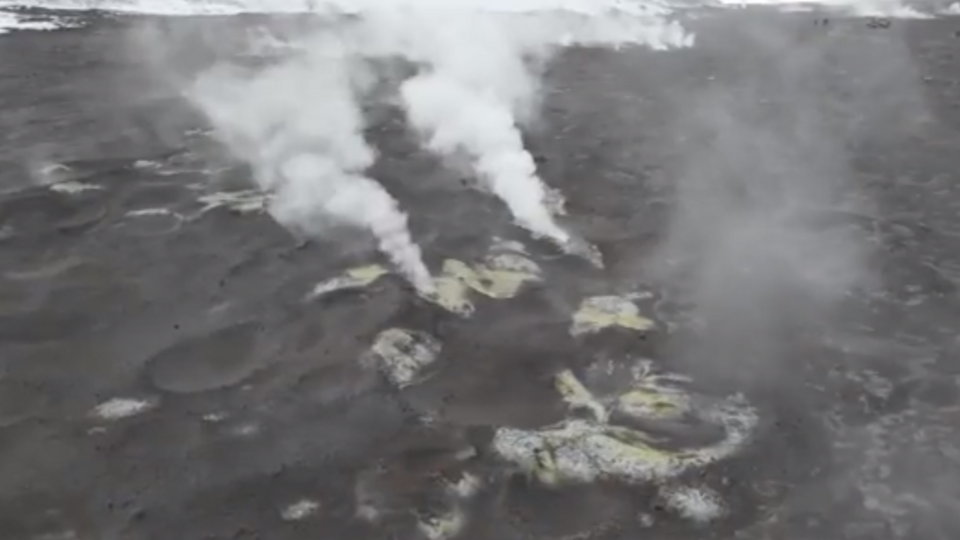 Фото: © Скриншот видео