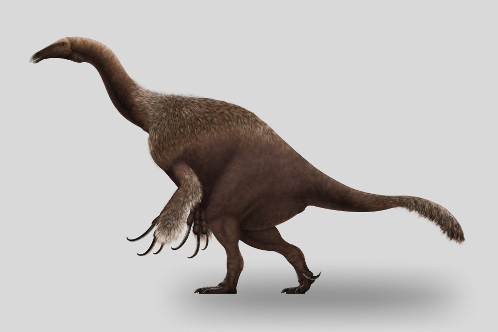 Динозавр-троодонтид уже имел изменившиеся в ходе эволюции конечности