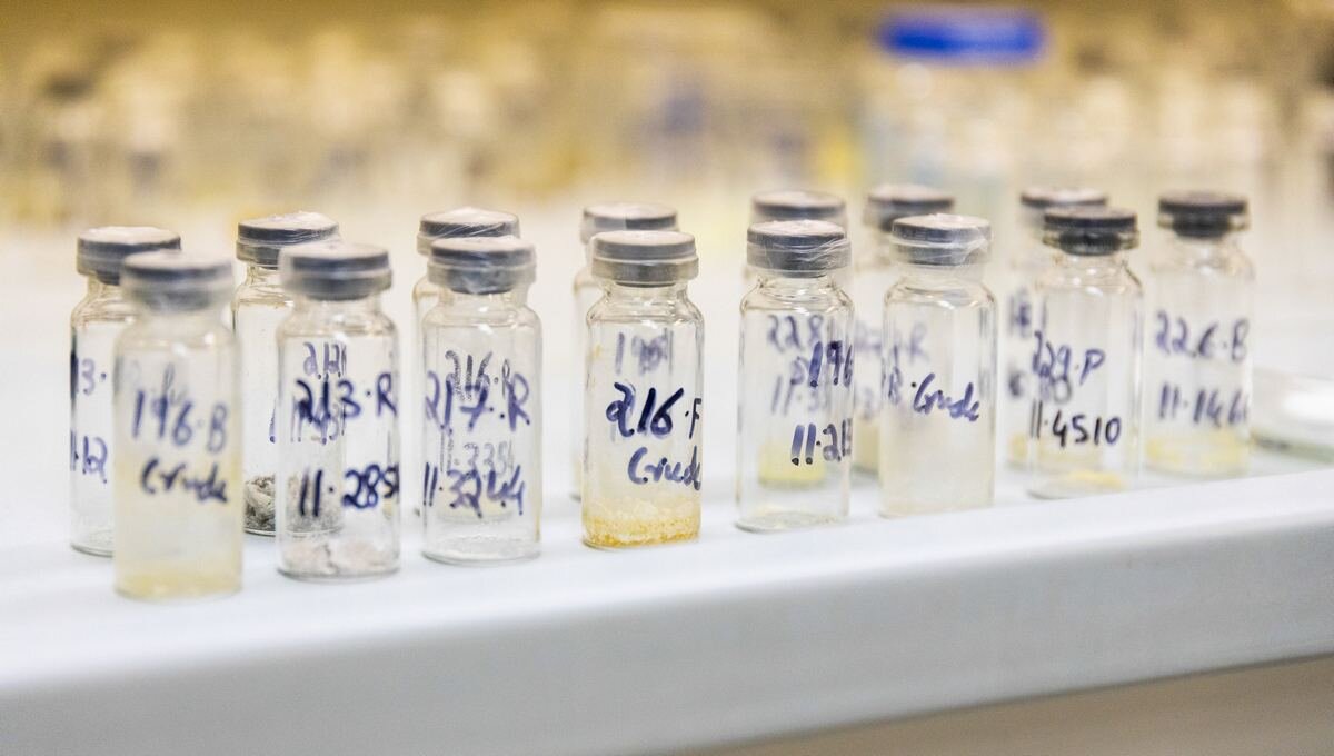 Фото: Родион Нарудинов/официальный сайт УрФУ