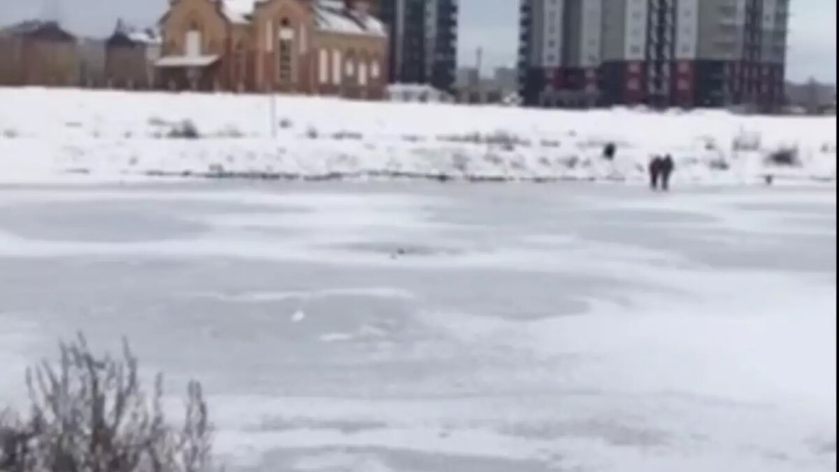     В Абакане дети устроили прогулку по неокрепшему льду в Преображенском парке. Кто-то из прохожих снял происходящее на видео.