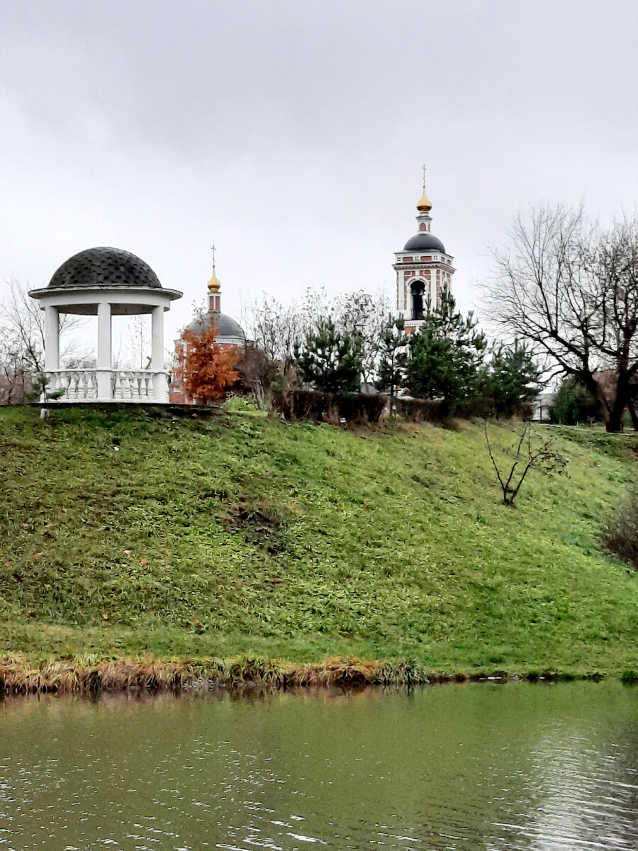 Покровский парк в Чертаново Южное | Портреты природы | Дзен