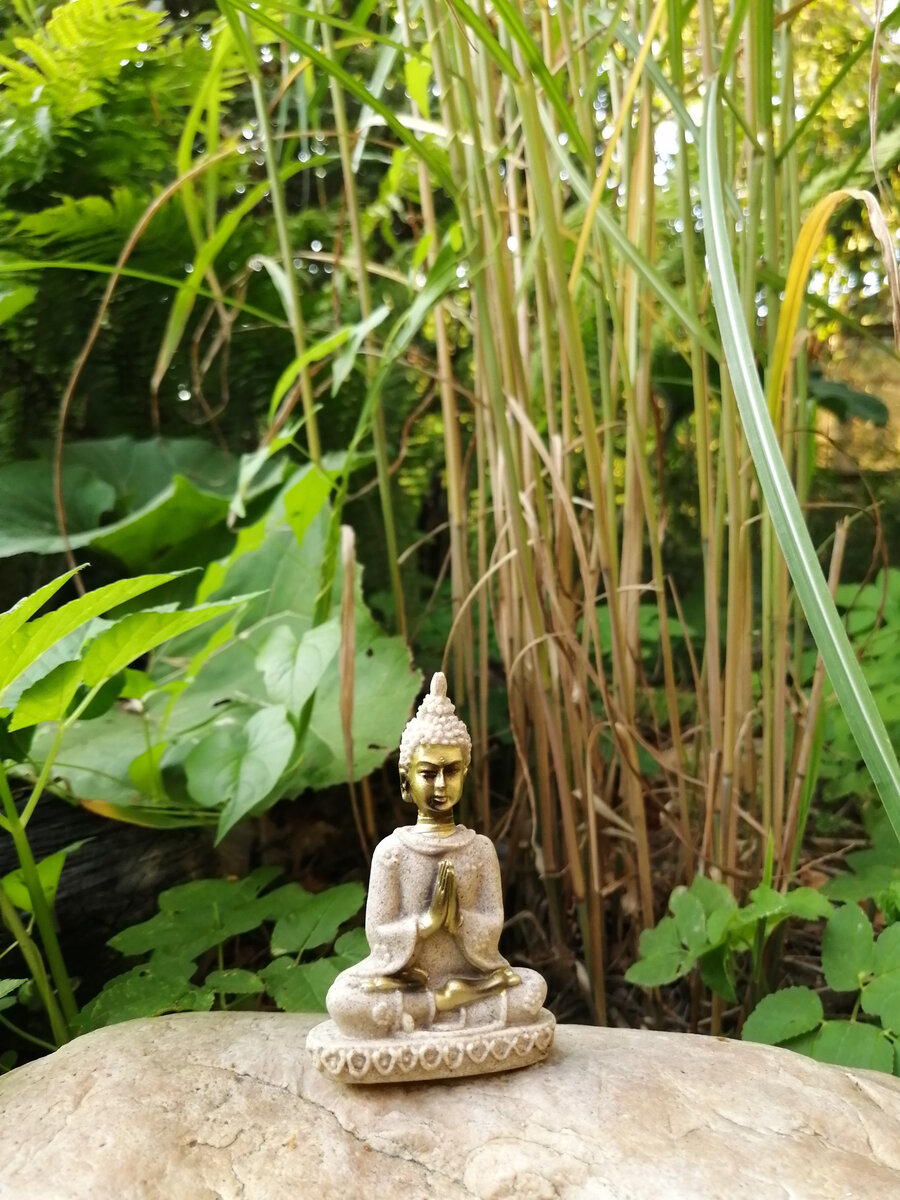 Дачная фотосессия. Стебли "травы" на дальнем плане - это мискантус