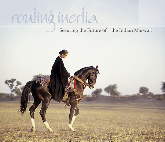 Франческа Келли