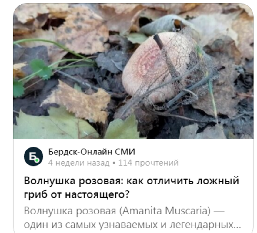 Это скрин из ленты Лзена