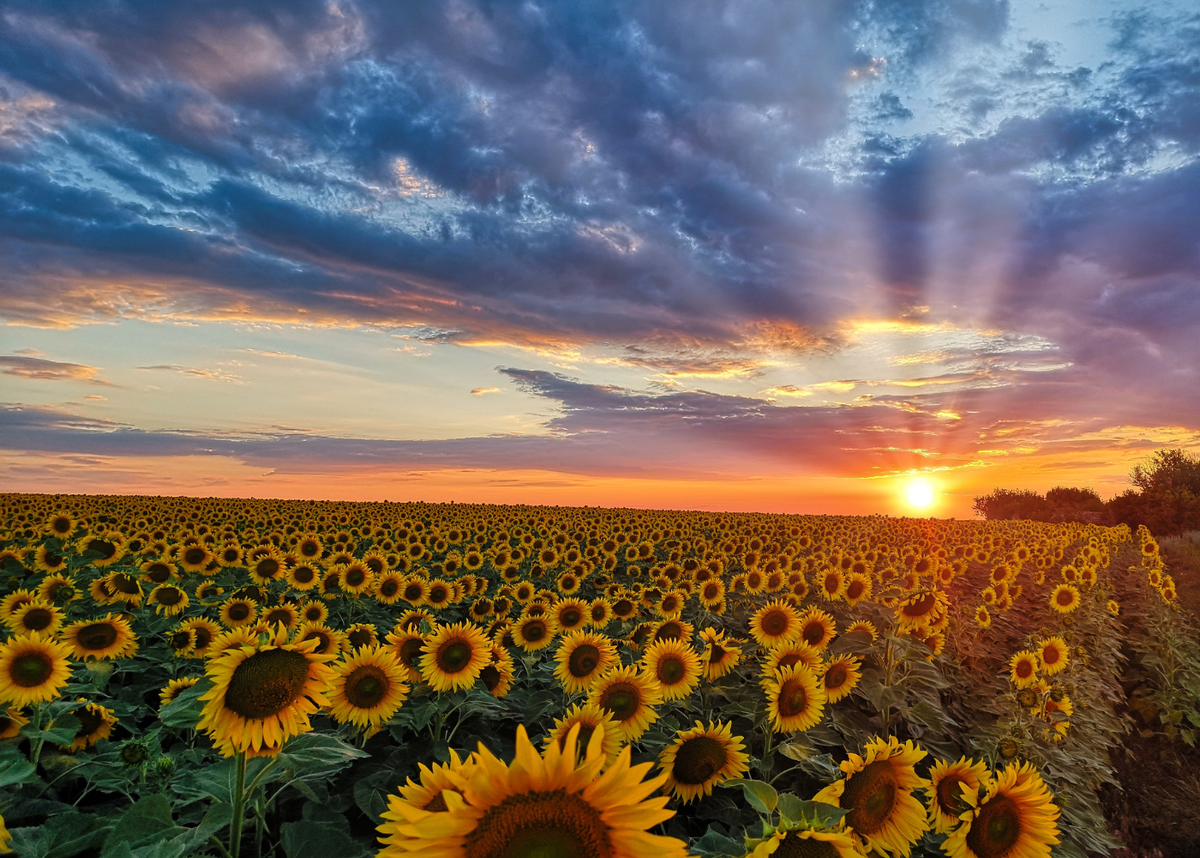 Фото: Getty Images Pro