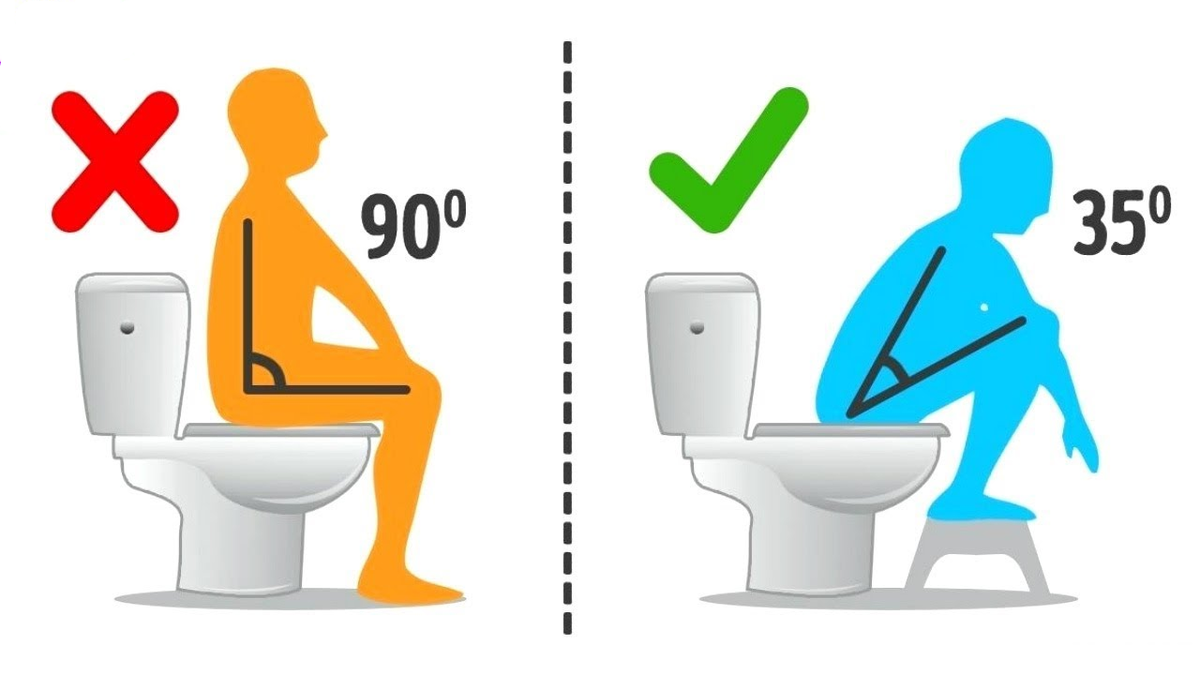 Kak pravilno com. Правильная поза для туалета. Правильное сидение на унитазе. Как правильно сидеть в туалете. Как правилно чидкть на унитаз.