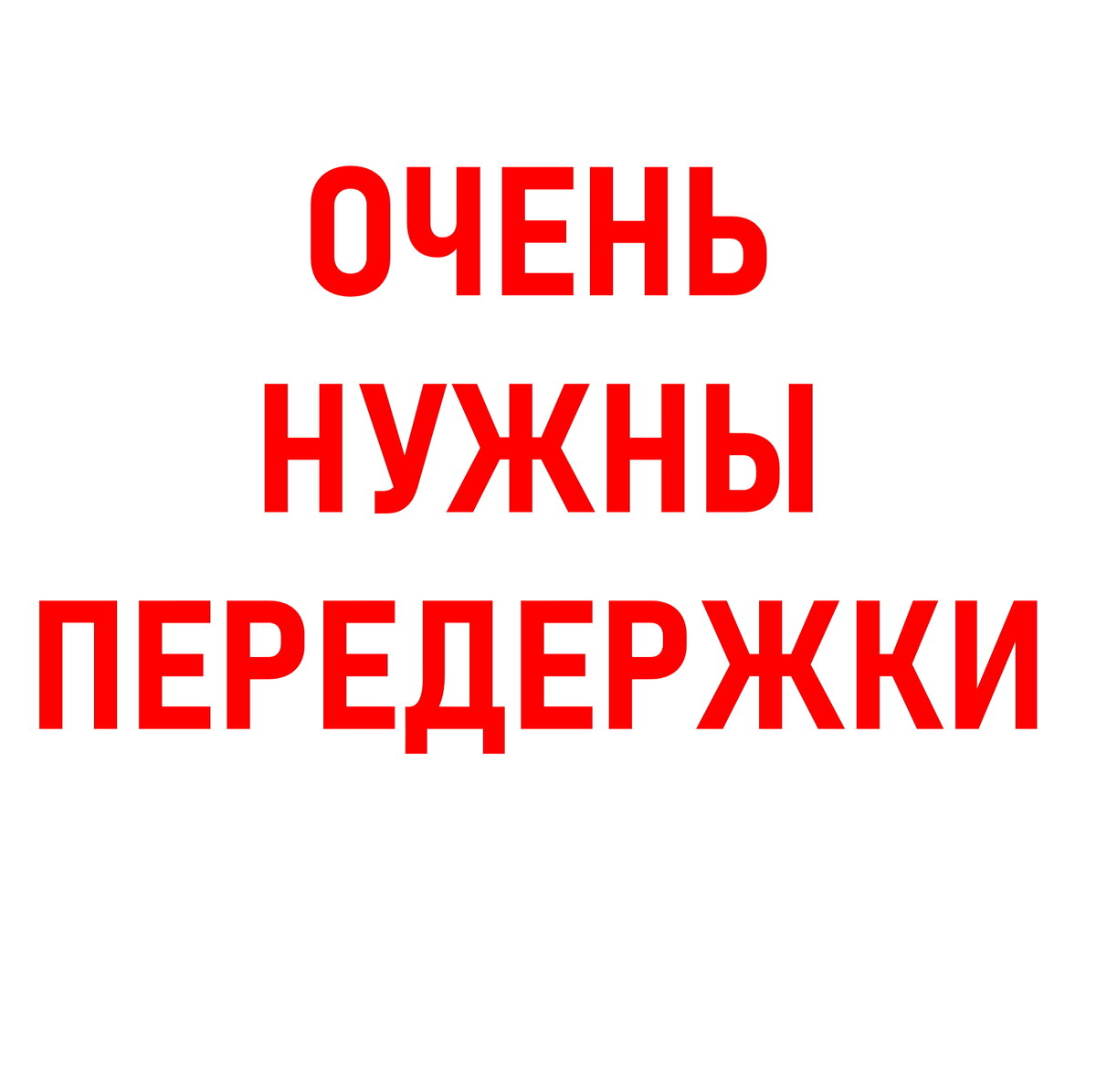 Колпино, Ижорский Завод. Очень нужны передержки (дома) котятам. Группа  помощи всем поможет. Несколько уже отравились. | Animalrescueed | Дзен