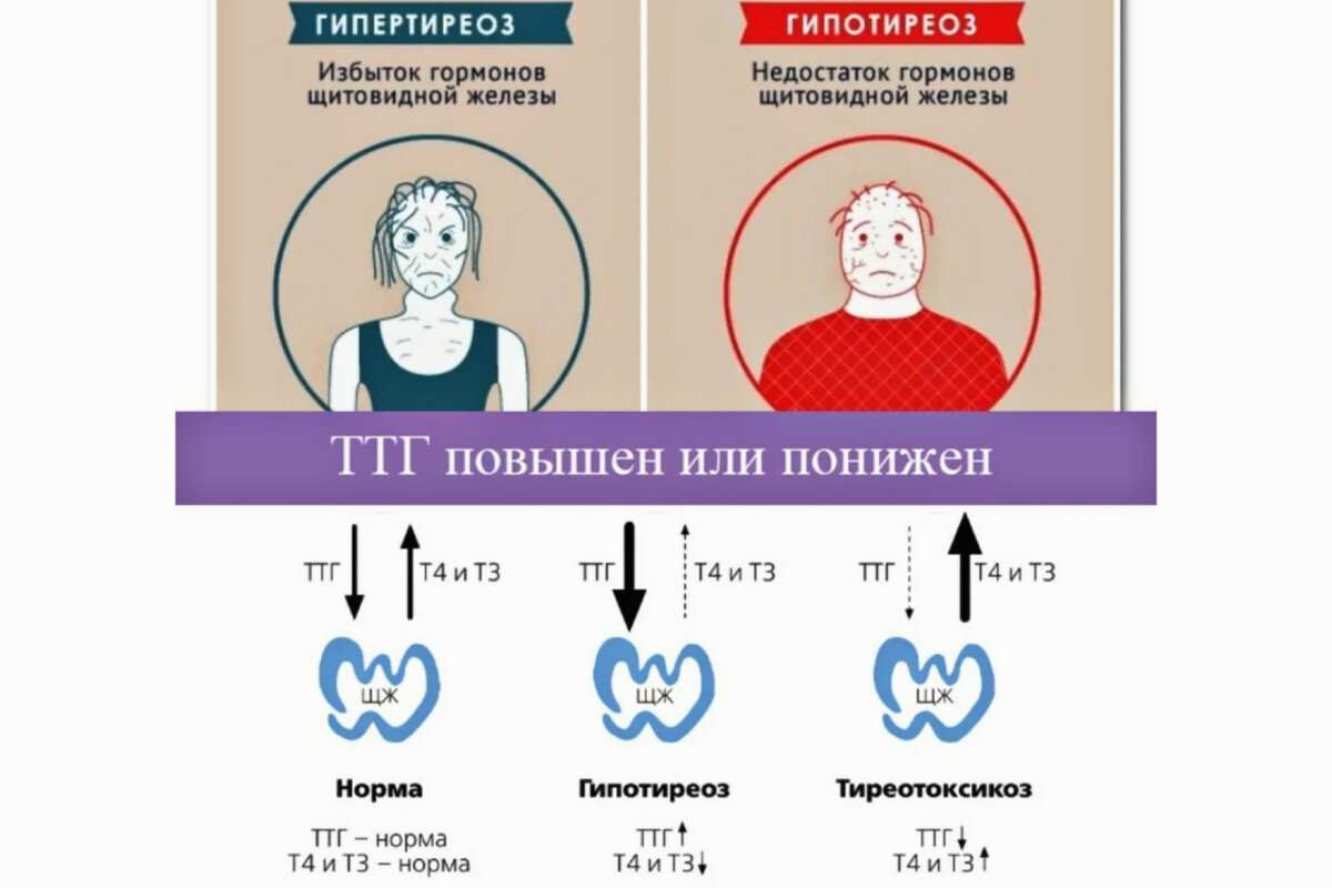 И то, и другое — очень плохо, разрушает гормональную систему, организм стареет 