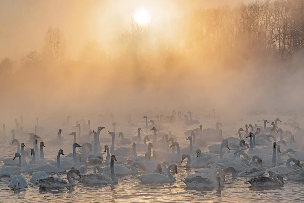 Фото: Филатов П.