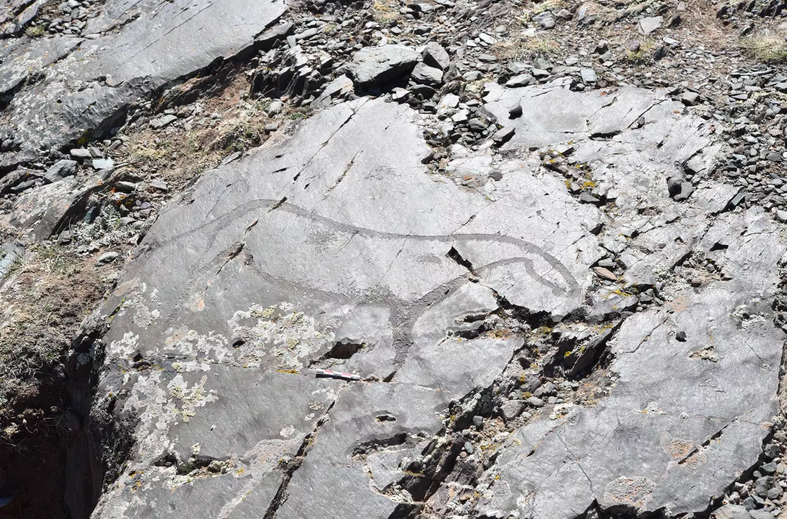 Фото: ИАЭТ СО РАН