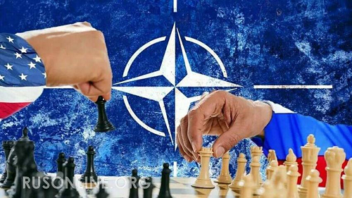 ФОТО: Из цитируемого источника