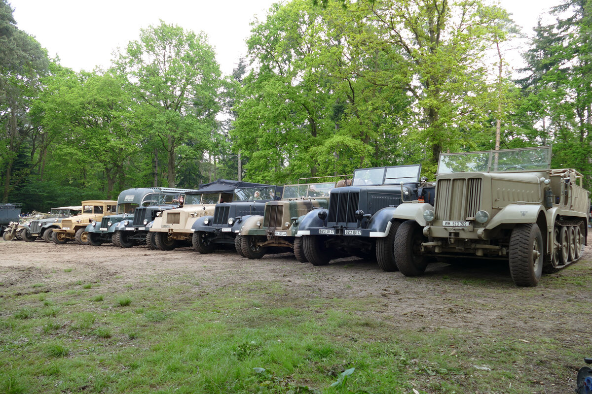 На шоу Militracks-2019 удалось собрать полную линейку немецких полугусеничных тягачей разработки Генриха Книпкампа.