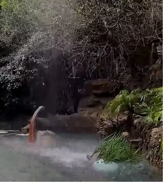 Фото:  fb.watch