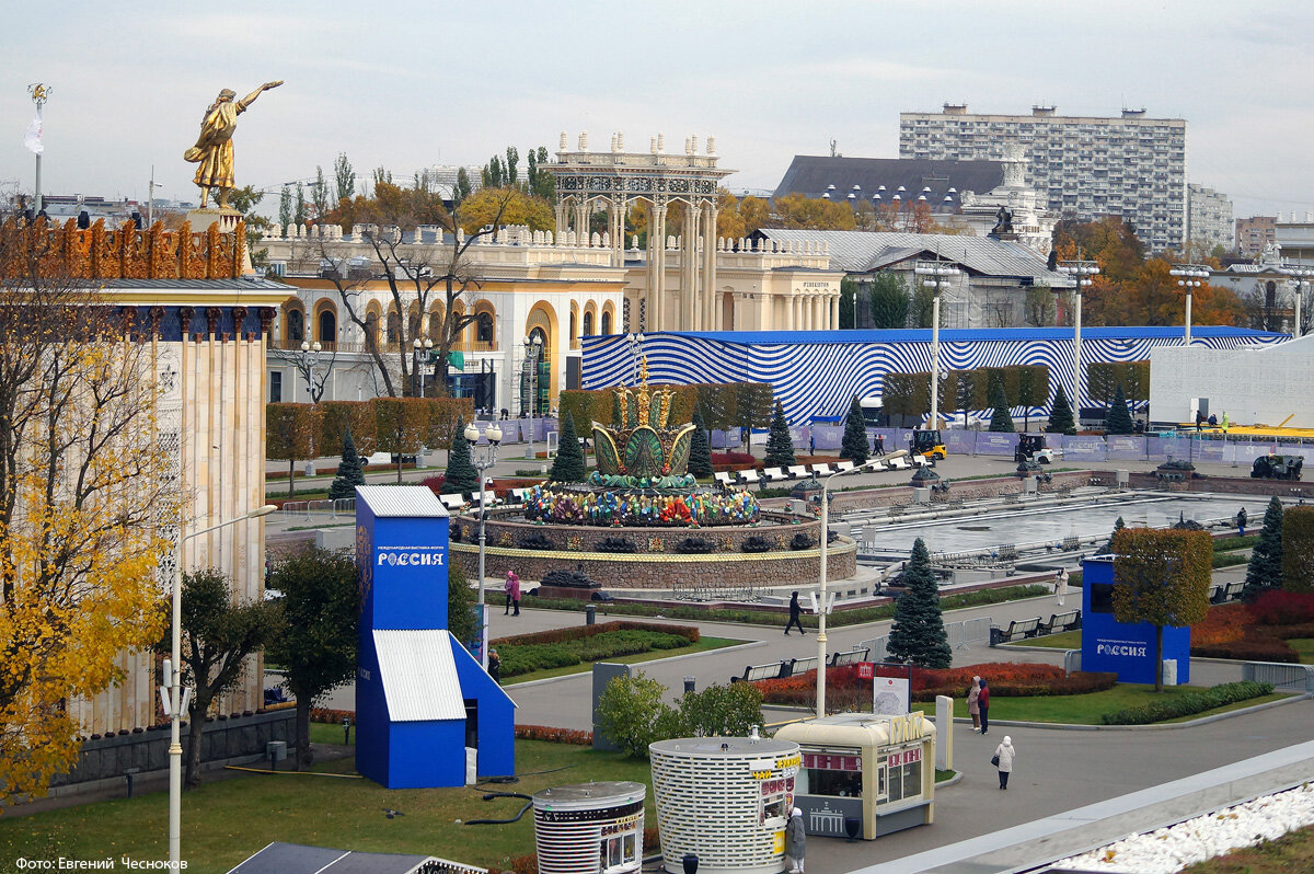 Выставка атом на вднх. Павильон атом ВДНХ 2023. Выставка Россия на ВДНХ 2023 павильон атом. Гербер ВДНХ 2023. Выставка Россия на ВДНХ 2023 павильон Карелия
