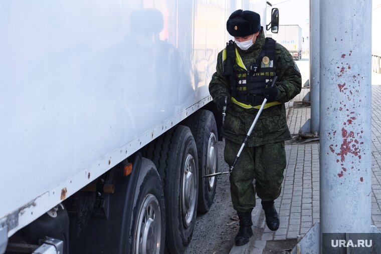    В Курганскую область не пустили партию фиников без маркировки