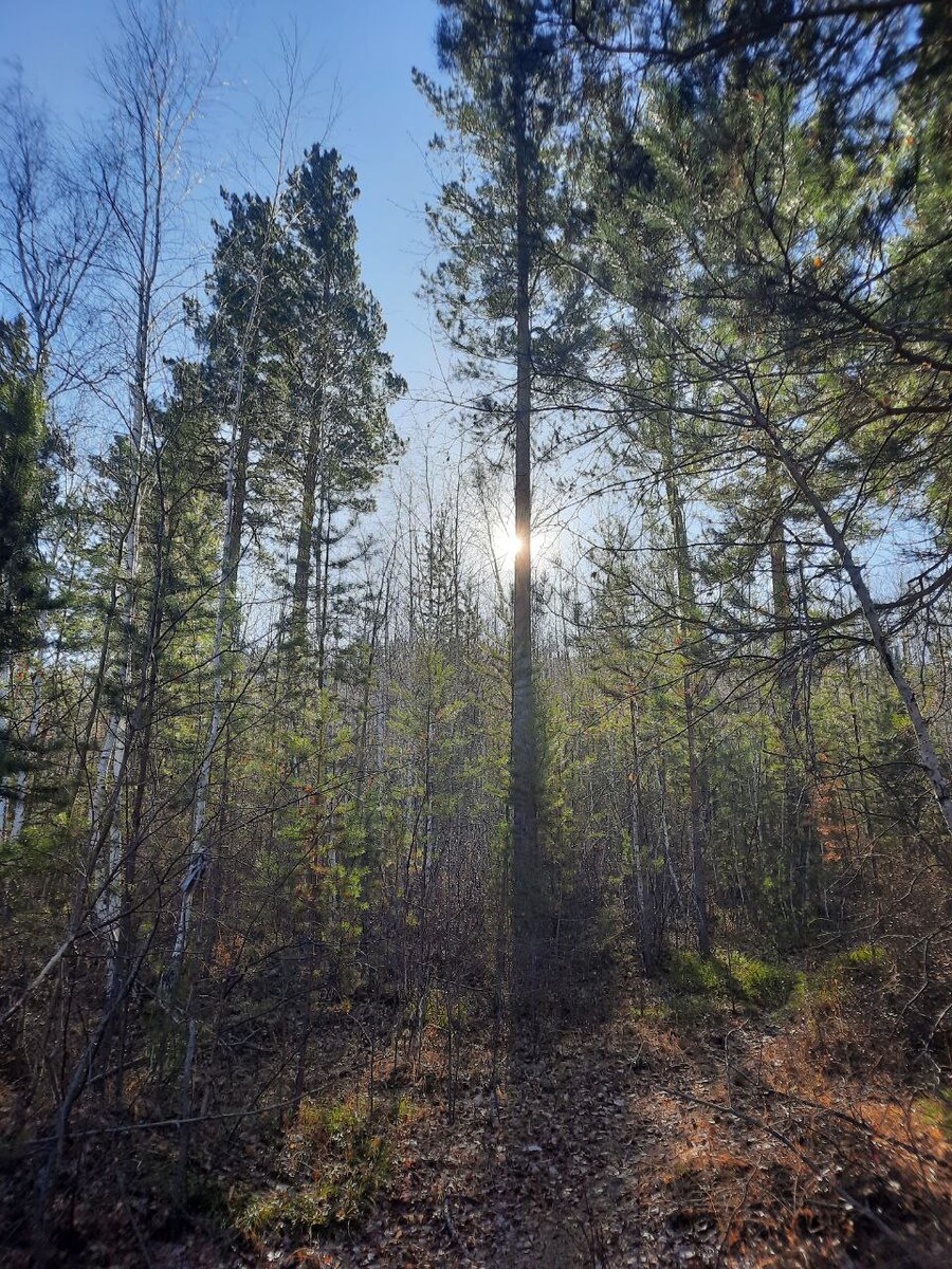 Фото автора.