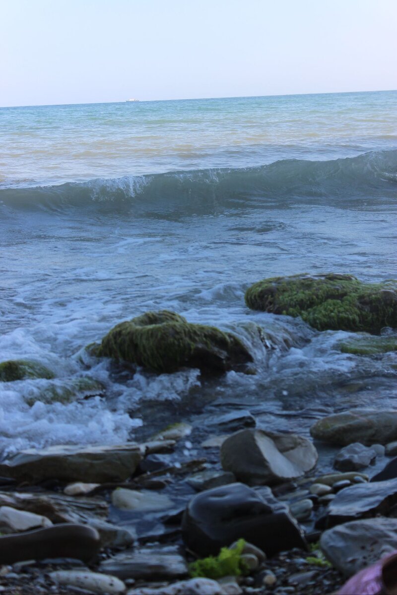 Мысхако. Дикий пляж. 