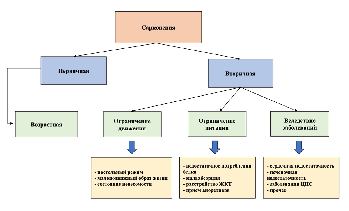 Саркопения это