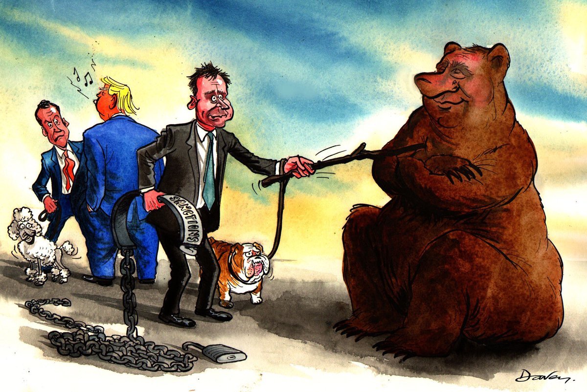 Яндекс картинки 