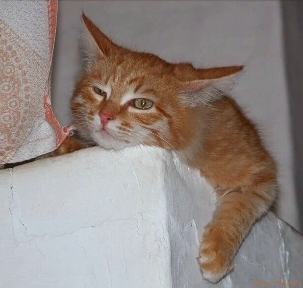 Источник: Яндекс картинки