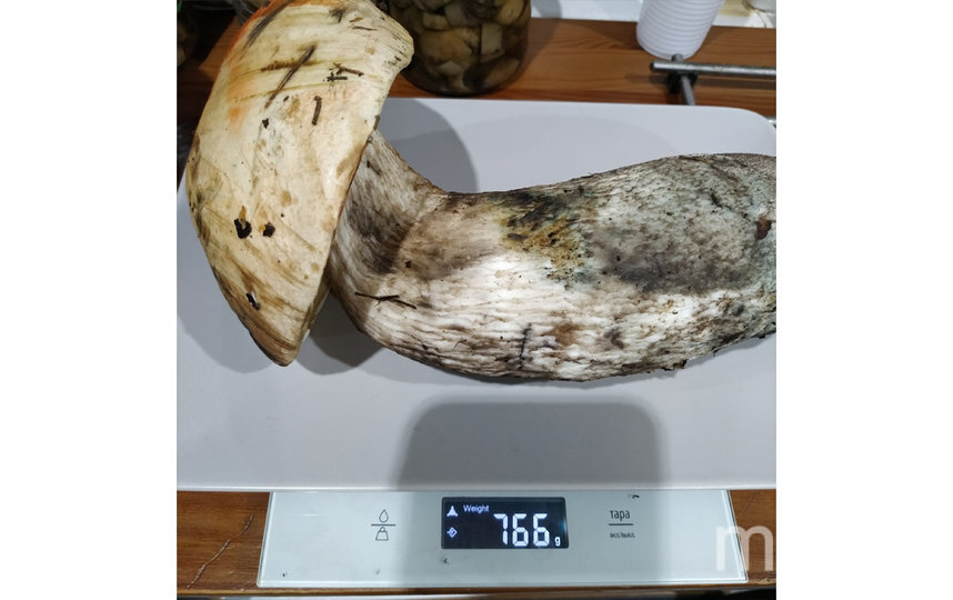    Предоставлено Юлией Успенской.vk.com@untdboss