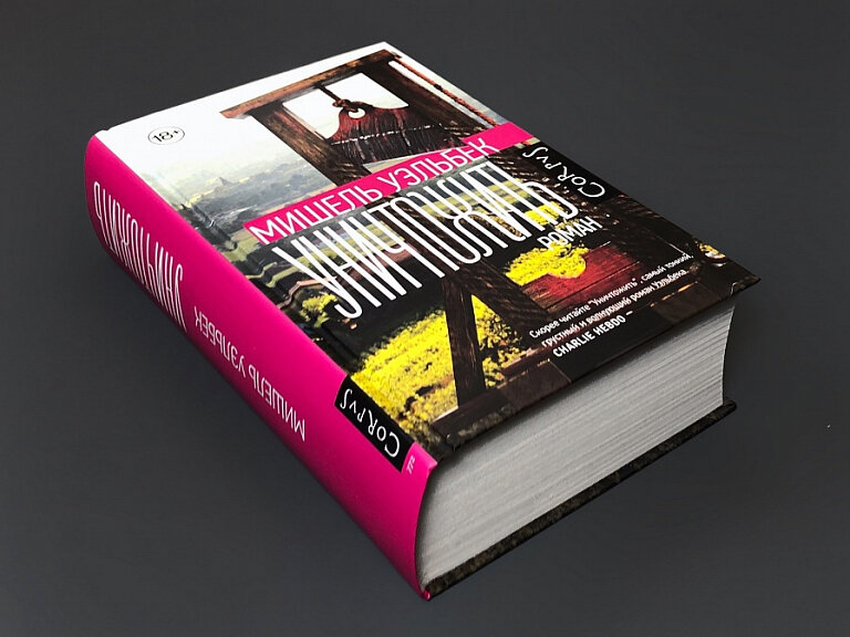 карта и территория мишель уэльбек книга. роман уничтожить уэльбек. уэльбек уничтожить fb2. мишель уэльбек французский писатель. саймон грин колдовство в большом городе.