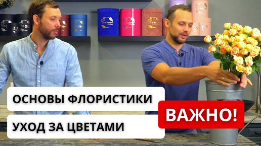 Video herunterladen: ❗️ УРОК ДЛЯ НАЧИНАЮЩИХ ФЛОРИСТОВ! Как правильно работать с вазами. Как правильно подрезать розу.