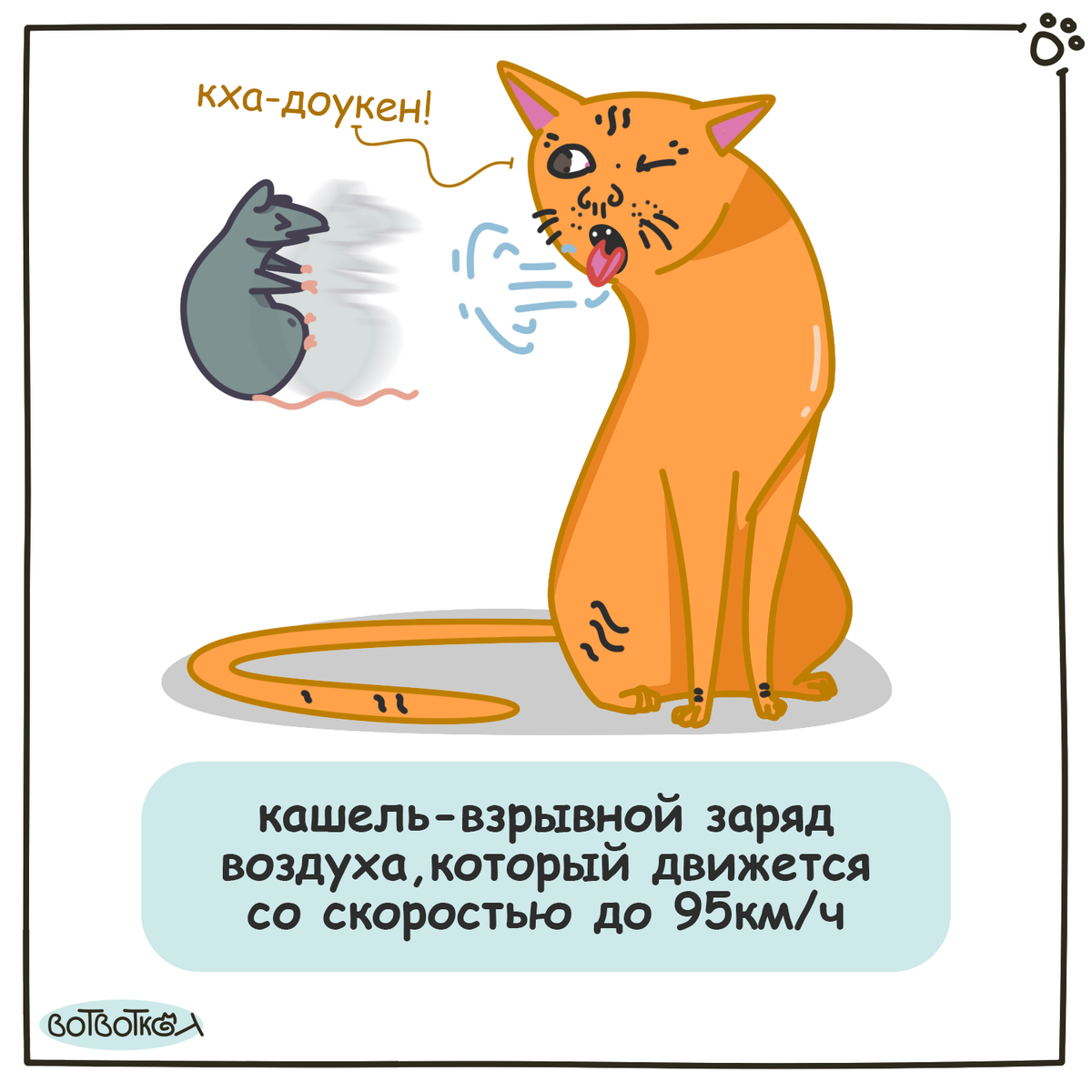 Котики и кашель