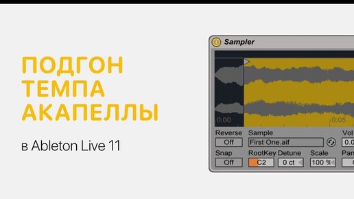 Как подогнать темп акапеллы в Ableton Live 11 [Ableton Pro Help]