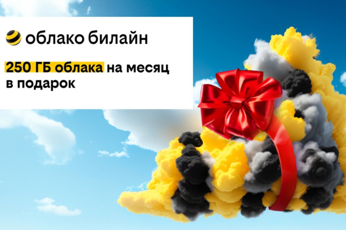 Для всех новых клиентов. Билайн подарит 250 ГБ в своем облаке на месяц |  Аргументы и факты – aif.ru | Дзен