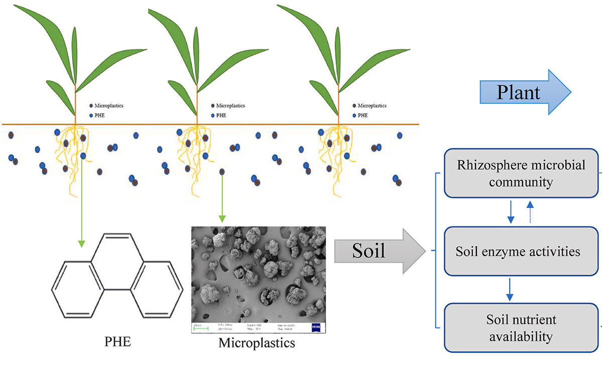   Xiancao Chen et al. / Chemosphere, 2023