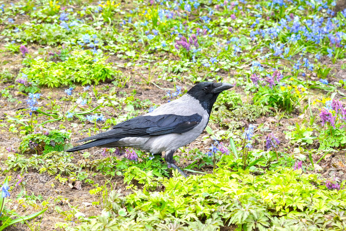 А ведь какой разумный у нее взгляд