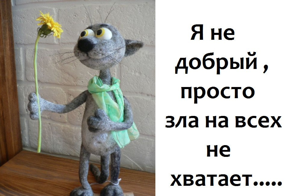 Доброе недоброе утро. Добрый это не тот кто умеет делать добро а тот кто не умеет делать зла. Не добрый. Недоброе слово. Не добрый.